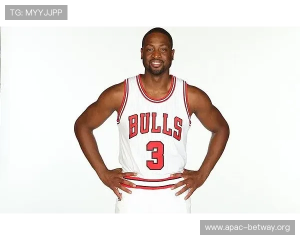 韦德官网球员资料库详细介绍NBA明星韦德的职业生涯